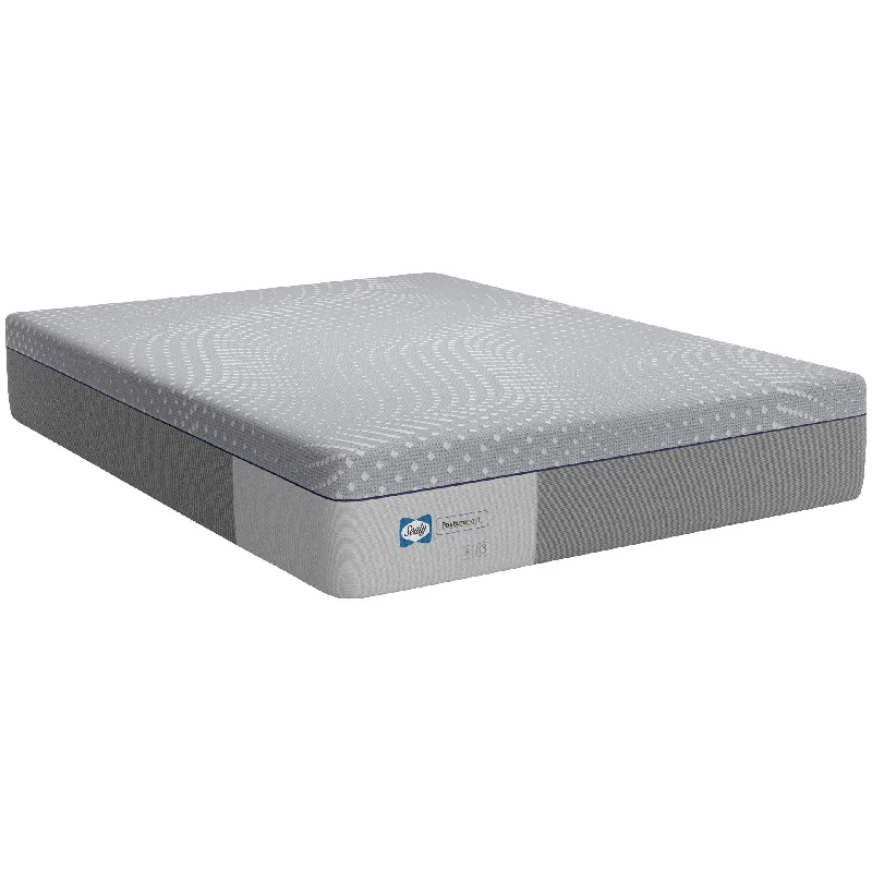 Sealy Posturepedic Lacey Soft Memory Foam Mattress in a Box