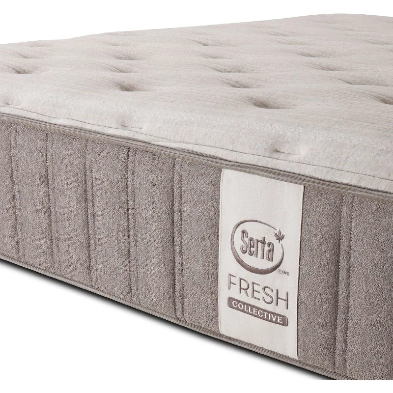 Serta Fresh Collective 13" Rowan Tight Top Firm Mattress